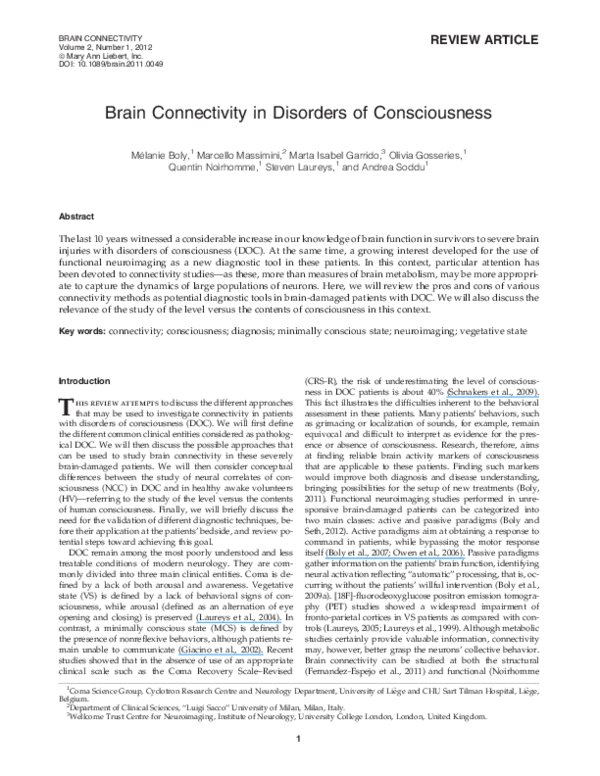 (PDF) Brain Connectivity in Disorders of Consciousness