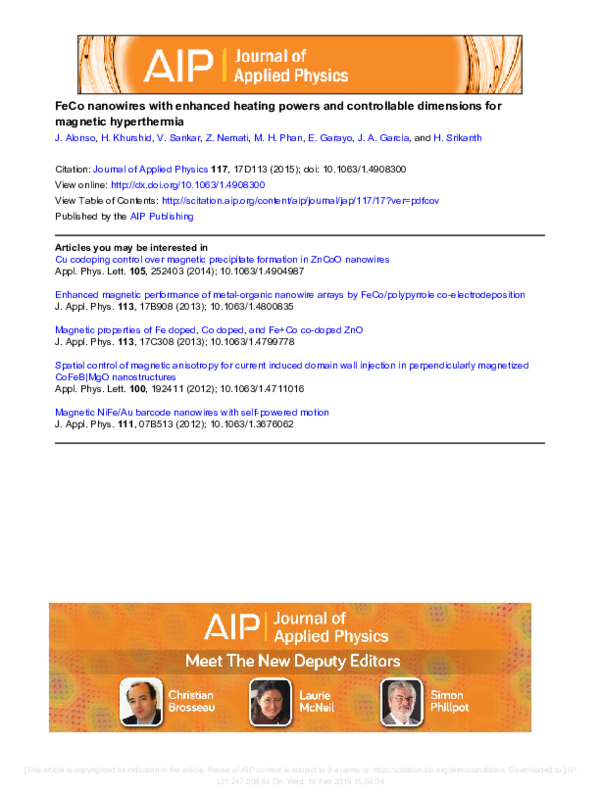 Magnetic nanoparticles cancer image