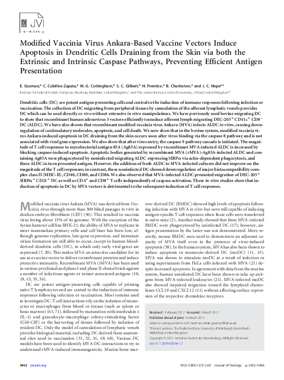 (PDF) Modified Vaccinia Virus Ankara-Based Vaccine Vectors Induce ...
