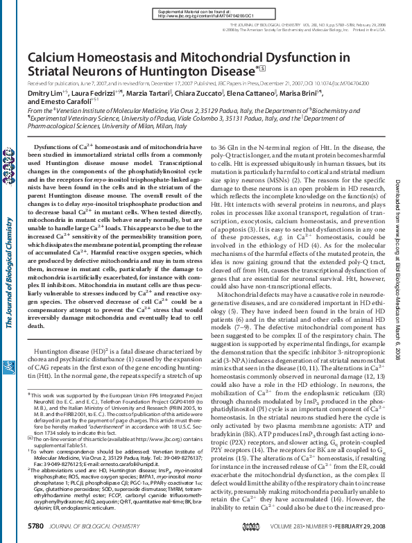 (PDF) Calcium Homeostasis and Mitochondrial Dysfunction in Striatal ...