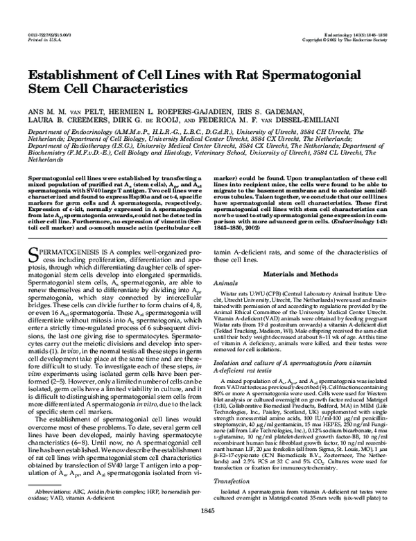 (PDF) Establishment of Cell Lines with Rat Spermatogonial Stem Cell ...