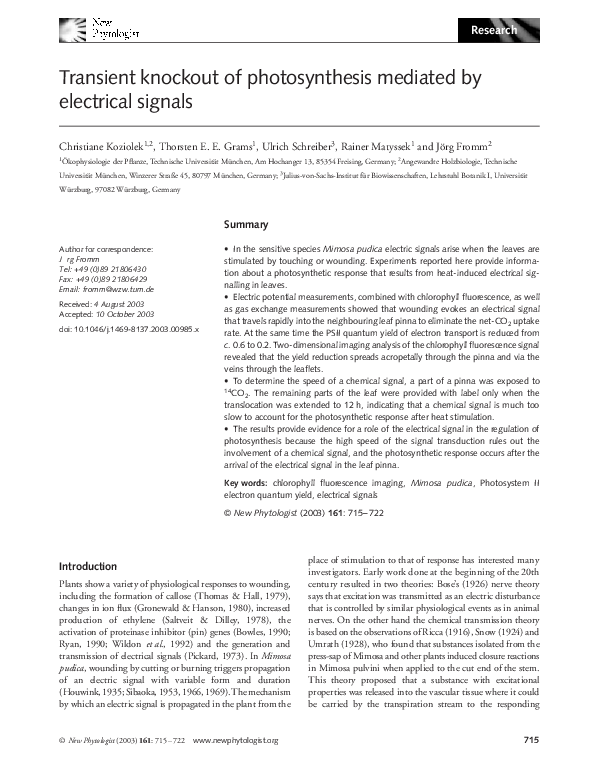 (PDF) Transient knockout of photosynthesis mediated by electrical signals