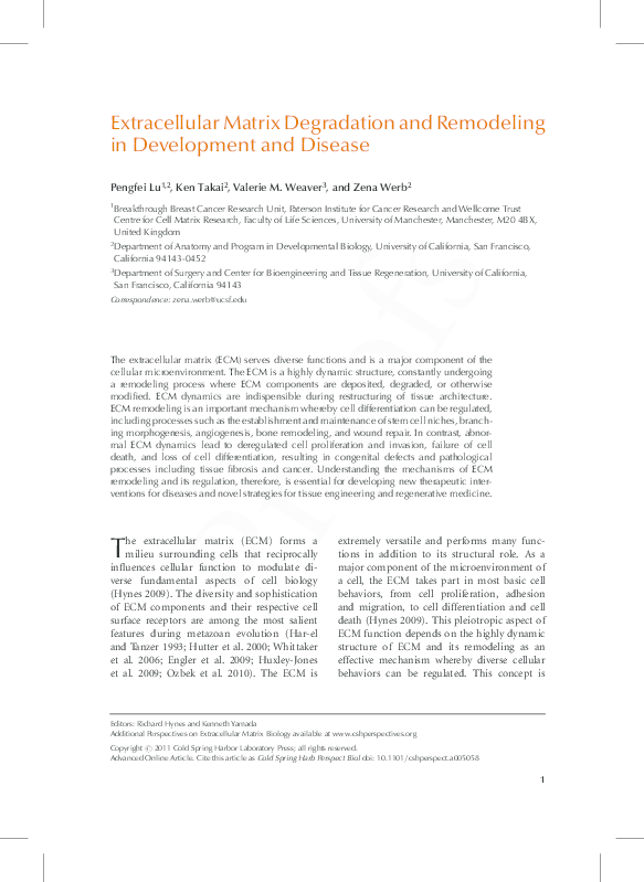 (PDF) Extracellular matrix degradation and remodeling in development ...