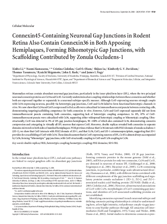 (PDF) Connexin45-containing neuronal gap junctions in rodent retina ...