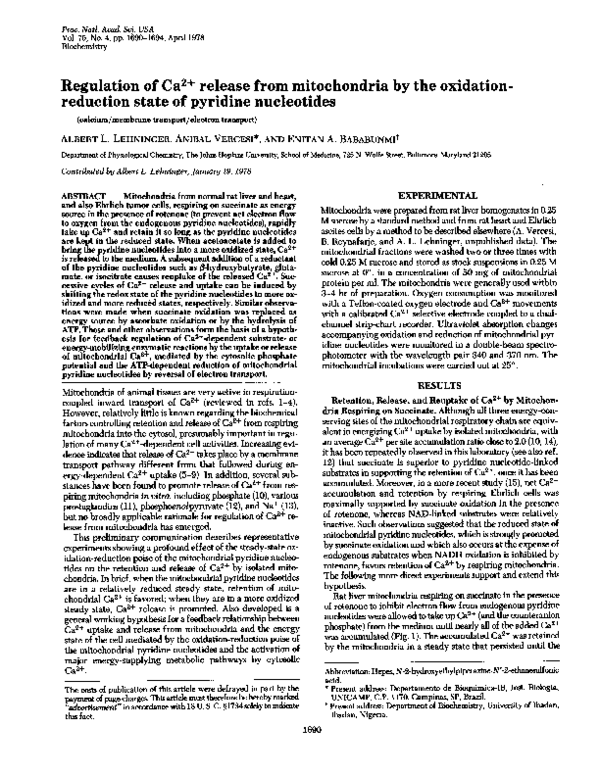 (PDF) Regulation of Ca2+ release from mitochondria by the oxidation ...