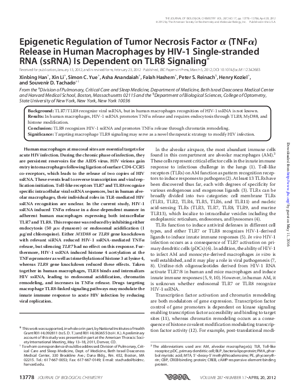 (PDF) Epigenetic Regulation of Tumor Necrosis Factor (TNF ) Release in ...