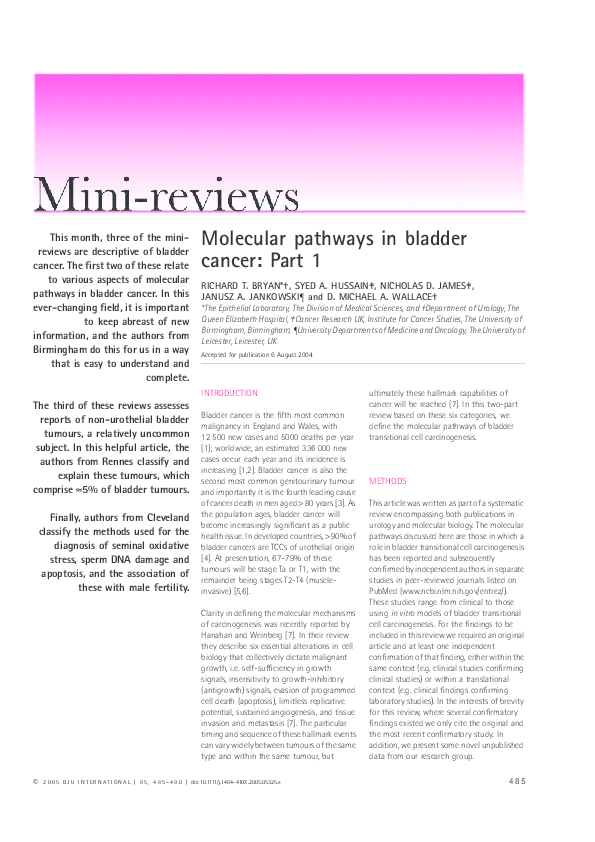 (PDF) Molecular pathways in bladder cancer: Part 2
