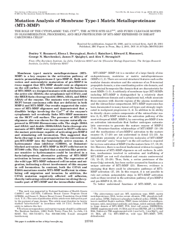 (PDF) Mutation Analysis of Membrane Type-1 Matrix Metalloproteinase ...