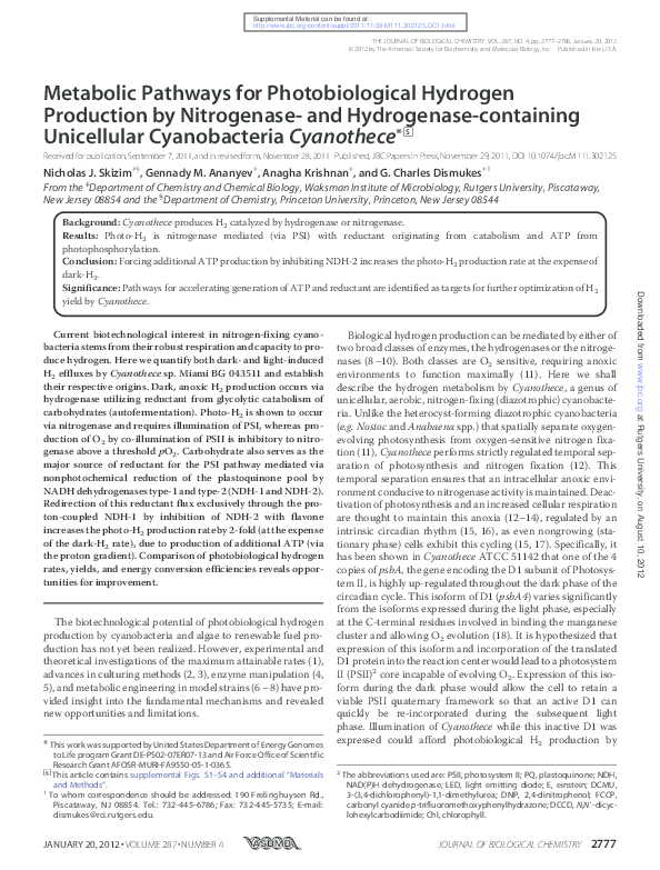 (PDF) Metabolic Pathways for Photobiological Hydrogen Production by ...