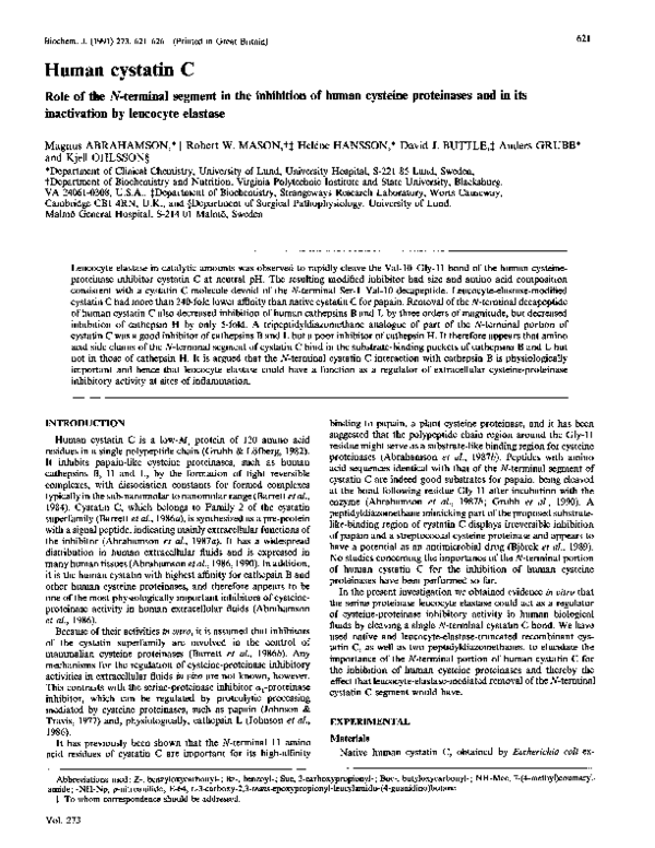 (PDF) Human Cystatin C. Role of the N-Terminal Segment In the ...