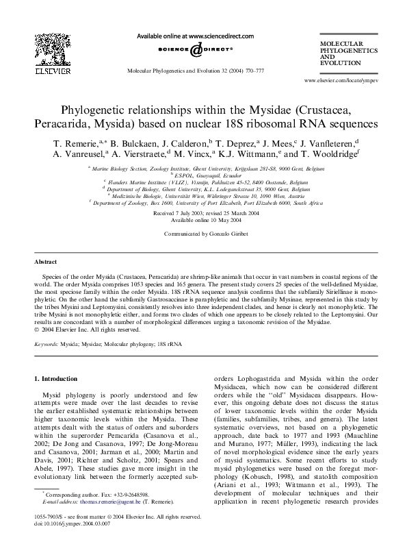 (PDF) Phylogenetic relationships within the Mysidae (Crustacea ...
