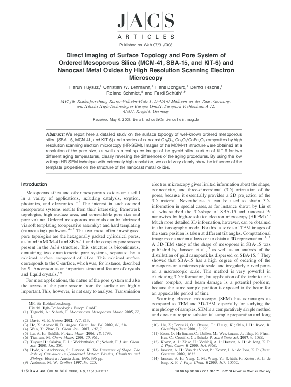 (PDF) Direct Imaging of Surface Topology and Pore System of Ordered ...
