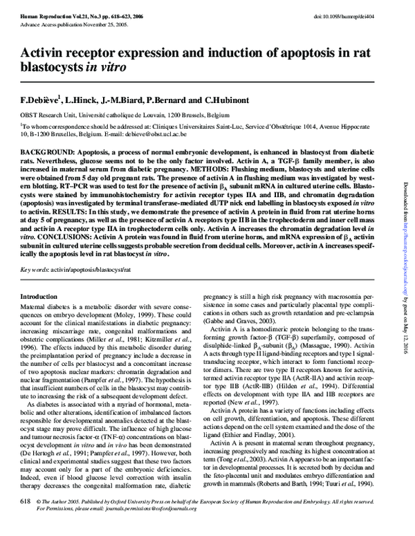 (PDF) Activin receptor expression and induction of apoptosis in rat ...