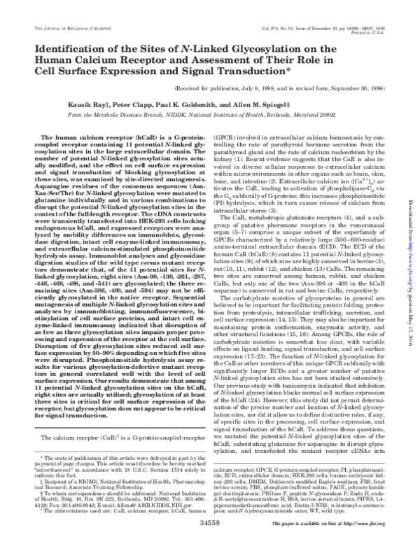 (PDF) Identification of the Sites of N-Linked Glycosylation on the ...