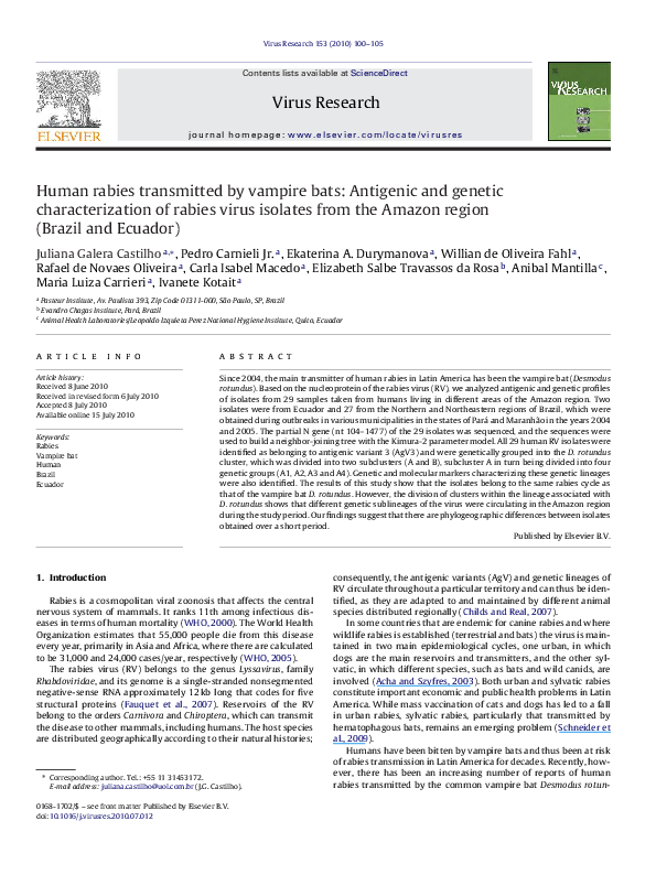 (PDF) Human rabies transmitted by vampire bats: antigenic and genetic ...