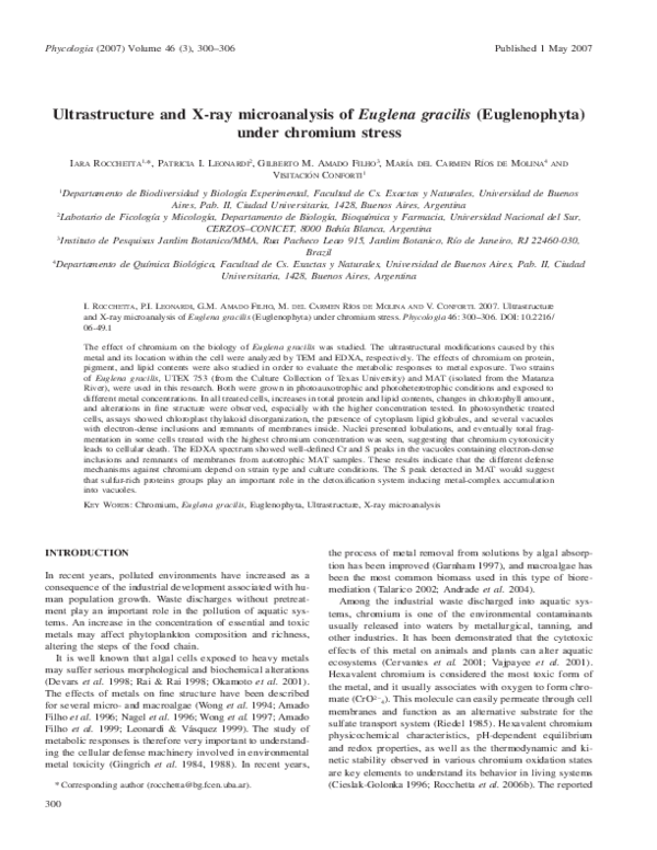 Euglena journal picture