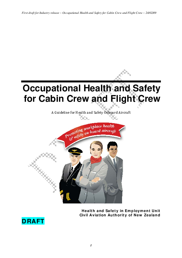 (PDF) Occupational Health and Safety for Cabin Crew and Flight Crew A