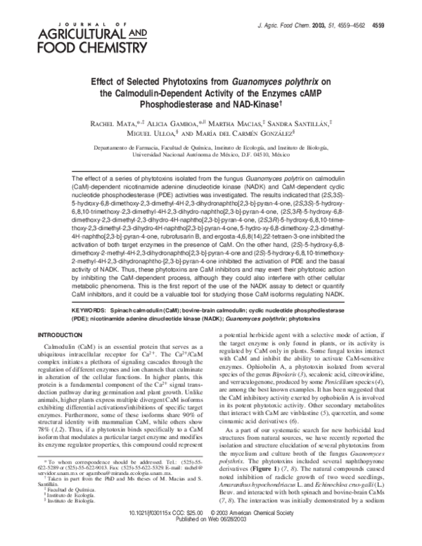 Thesis on calmodulin 08 picture