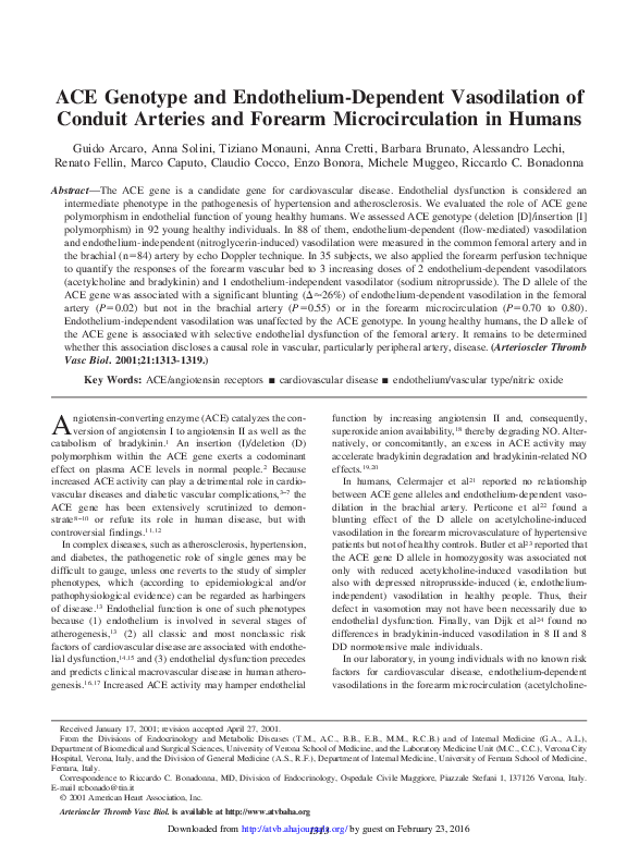 (PDF) ACE Genotype and EndotheliumDependent Vasodilation of Conduit