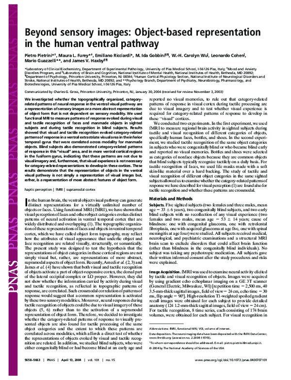 (PDF) Beyond sensory images: Object-based representation in the human ...