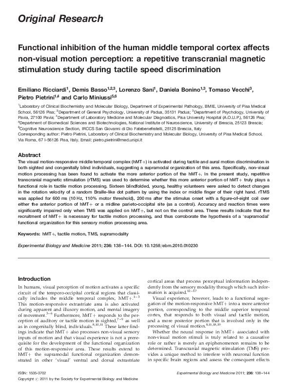 (PDF) Functional inhibition of the human middle temporal cortex affects ...