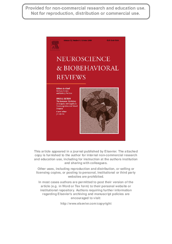  pdf imagery and spatial processes in blindness and visual impairment
