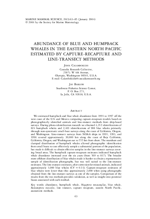 (PDF) ABUNDANCE OF BLUE AND HUMPBACK WHALES IN THE EASTERN NORTH ...