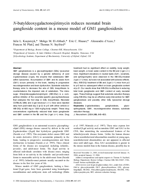 Gangliosidoses essay 02 image