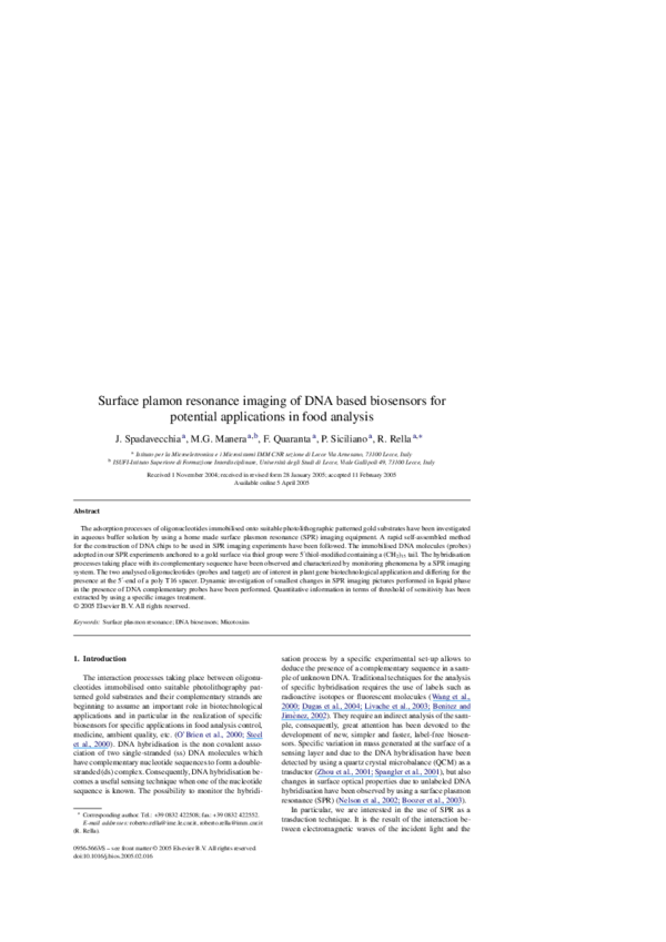 (PDF) Surface plamon resonance imaging of DNA based biosensors for ...