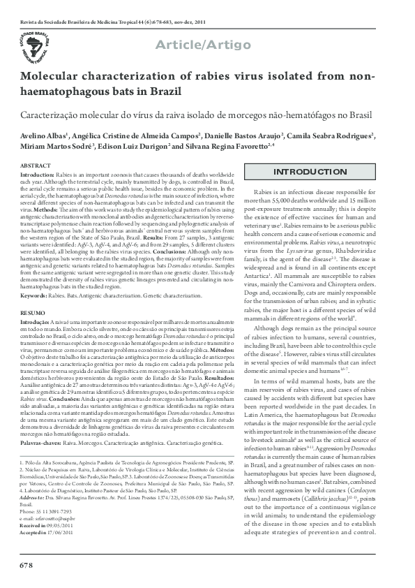 Prevention of rabies in humans image