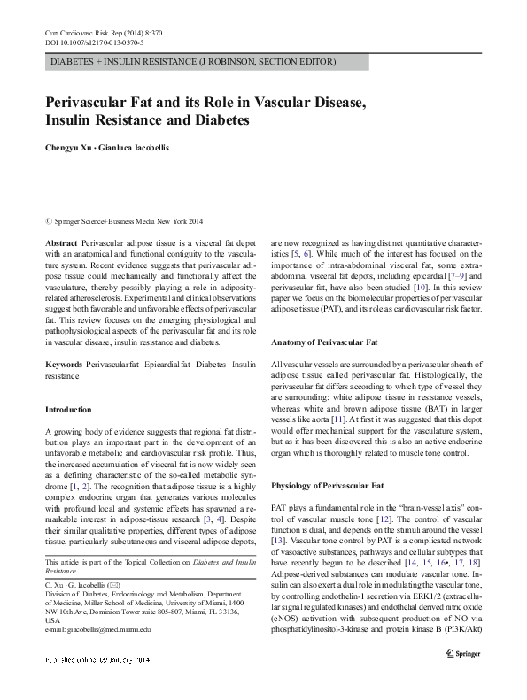 (PDF) Perivascular Fat and its Role in Vascular Disease, Insulin ...