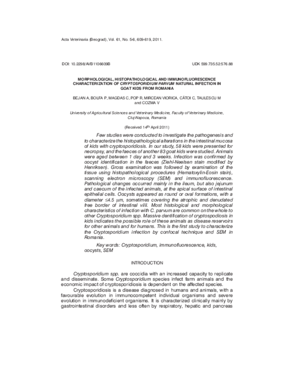 Cryptosporidium coccidi essay 08 picture