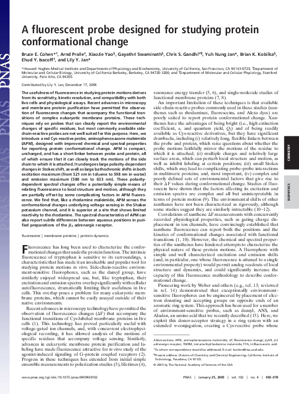 (PDF) A fluorescent probe designed for studying protein conformational ...