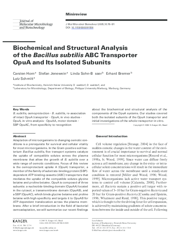 Bacillus subtilis probiotic picture
