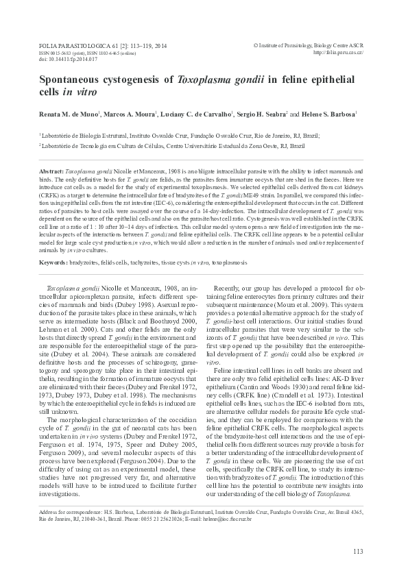 Toxoplasmosis rash pictures picture
