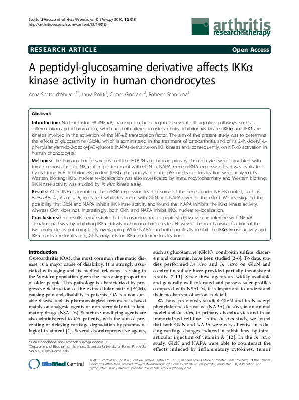 (PDF) A peptidylglucosamine derivative affects IKKalpha kinase