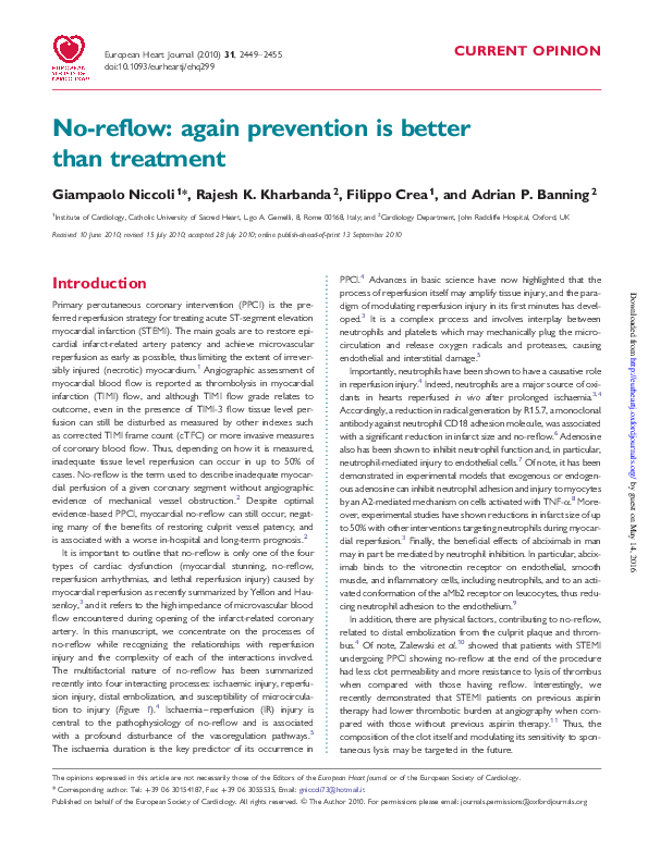 (PDF) No-reflow: again prevention is better than treatment