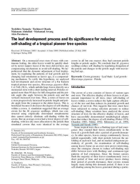 (PDF) The leaf development process and its significance for reducing ...