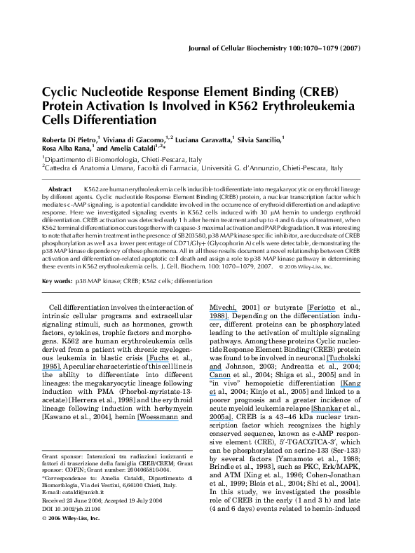 (PDF) Cyclic nucleotide response element binding (CREB) protein ...