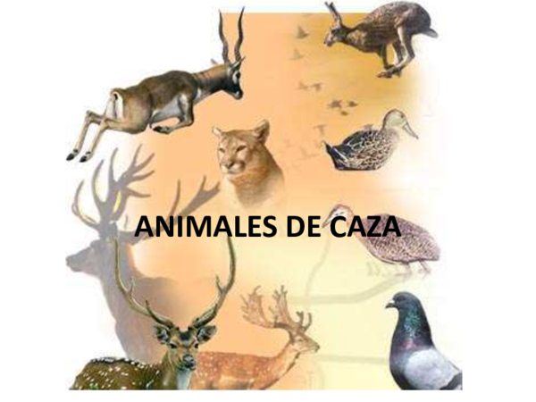 (PDF) ANIMALES DE CAZA