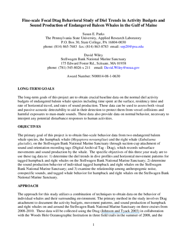Baleen whales meaning picture