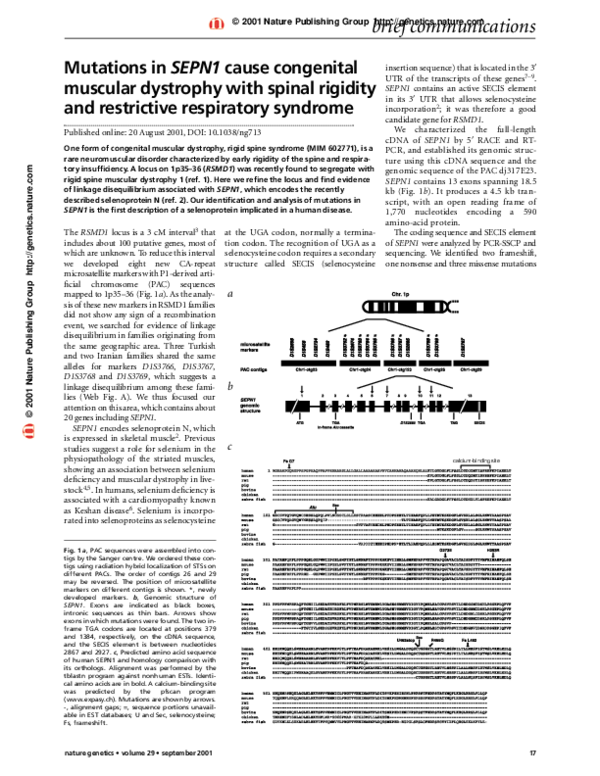 (PDF) Mutations in SEPN1 cause congenital muscular dystrophy with ...