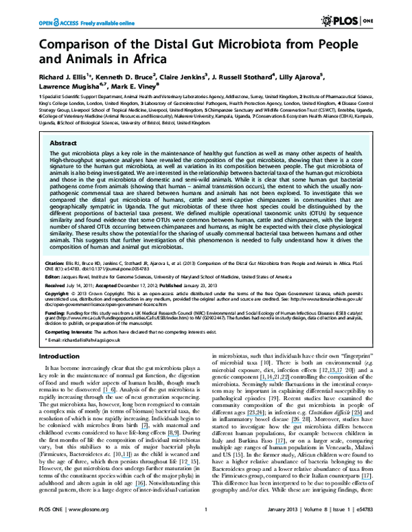 (PDF) Comparison of the Distal Gut Microbiota from People and Animals ...