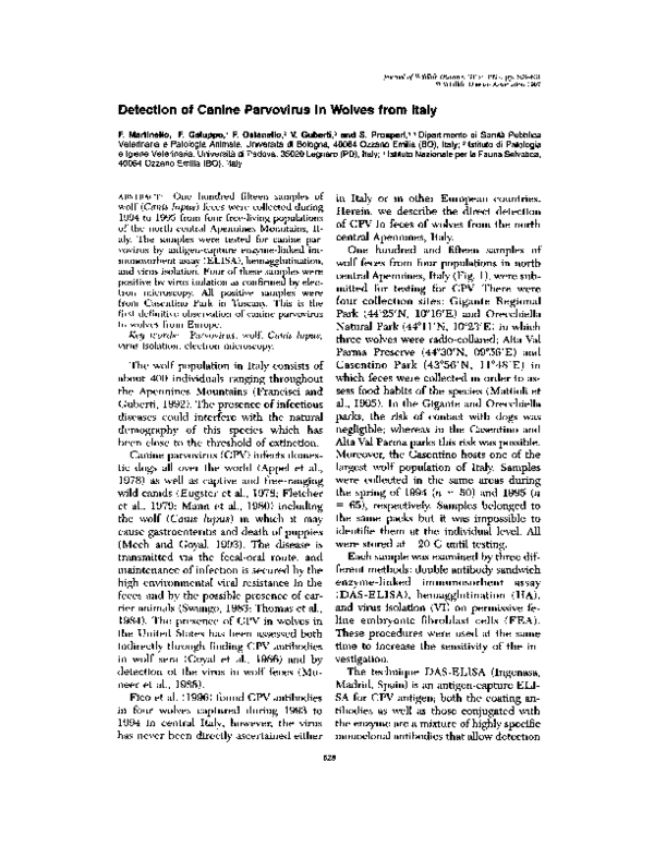 (PDF) Detection of canine parvovirus in wolves from Italy