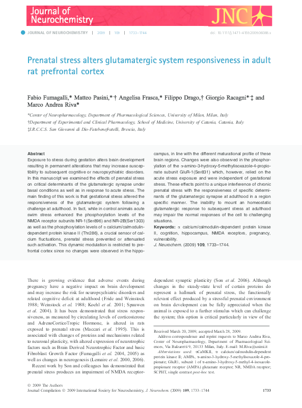 (PDF) Prenatal stress alters glutamatergic system responsiveness in ...