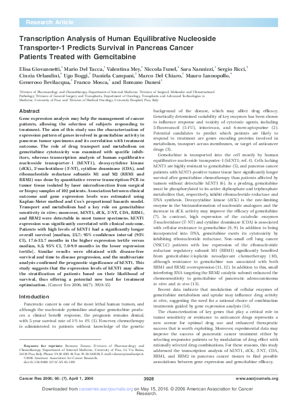 (PDF) Transcription analysis of human equilibrative nucleoside ...