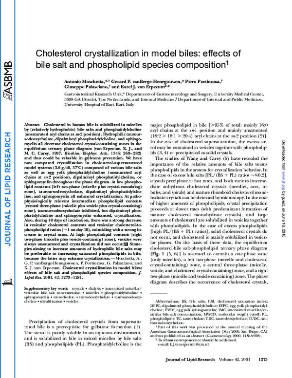 (PDF) Cholesterol crystallization in model biles: effects of bile salt ...