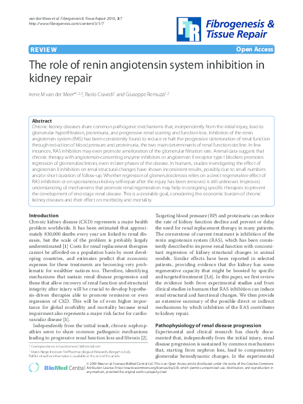 (PDF) The role of renin angiotensin system inhibition in kidney repair