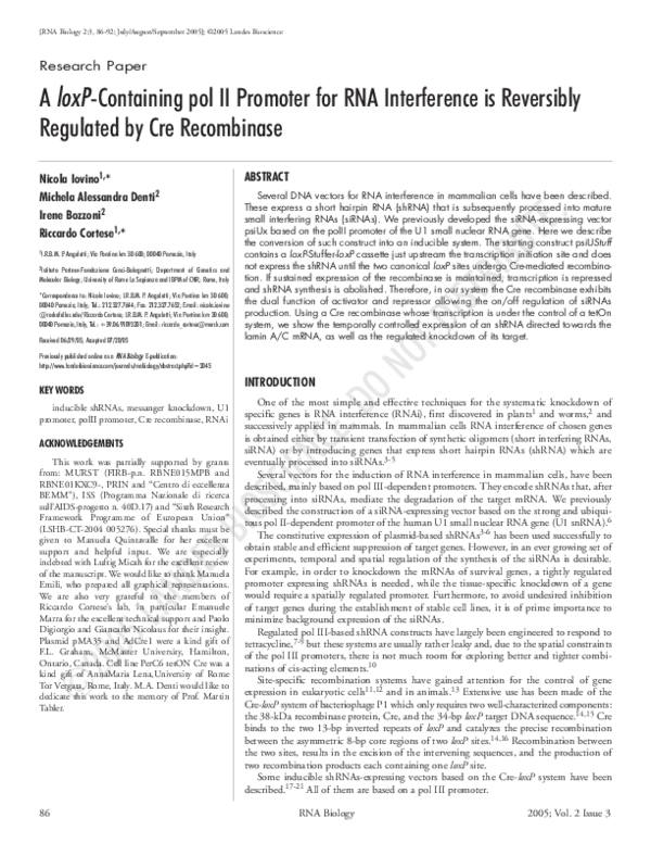 (PDF) A loxP-Containing pol II Promoter for RNA Interference is ...