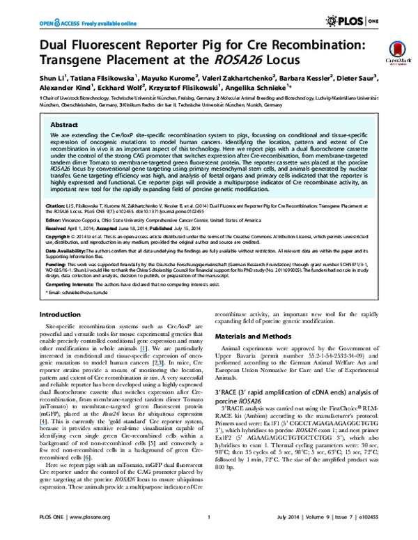 (PDF) Dual Fluorescent Reporter Pig for Cre Recombination: Transgene ...